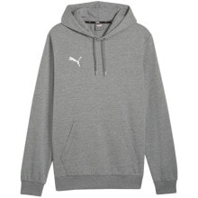 Puma Team Goal Casuals Hoody M 658618 33