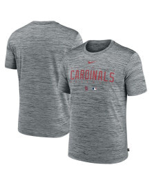 Men's Heather Gray St. Louis Cardinals Authentic Collection Velocity Performance Practice T-shirt
