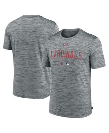 Nike men's Heather Gray St. Louis Cardinals Authentic Collection Velocity Performance Practice T-shirt