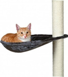 Scratching posts for cats