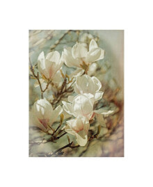 Trademark Global brooke T. Ryan Vintage Inspired Magnolias Canvas Art - 36.5