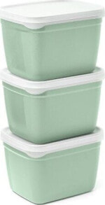 Containers and lunch boxes