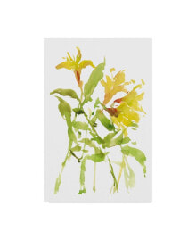 Trademark Global melissa Wang Watercolor Lilies I Canvas Art - 37