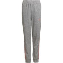 Adidas 3-Stripes Tapered Leg Jr HD4362 pants