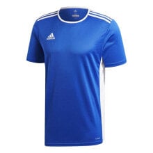 Мужские спортивные футболки aDIDAS Entrada 18 Short Sleeve T-Shirt