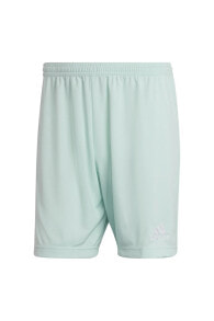 Men's Sports Shorts