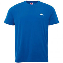 Мужская футболка спортивная синяя с логотипом Kappa ILJAMOR M 309000 19-4151