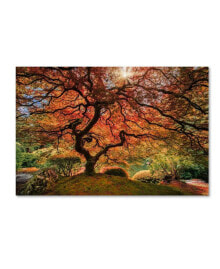 Trademark Global moises Levy 'The Tree Horizontal' Canvas Art - 12