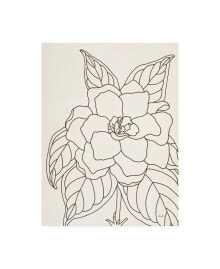 Trademark Global moira Hershey Gardenia Line Drawing Crop Canvas Art - 27