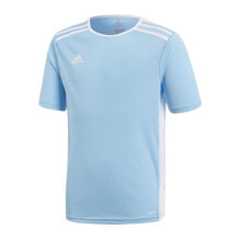 Мужская спортивная футболка голубая с логотипом T-Shirt adidas Entrada 18 Jr CF1045