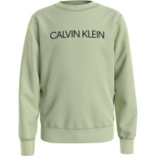 Спортивная одежда, обувь и аксессуары CALVIN KLEIN JEANS Institutional Logo Sweatshirt