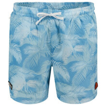 Swimming trunks and shorts