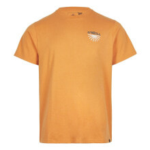 Men's sports T-shirts and T-shirts