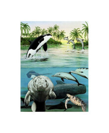 Trademark Global patrick Sullivan Sea Life Tropical Canvas Art - 36.5