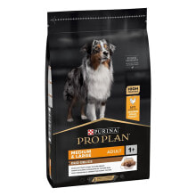 Products for dogs