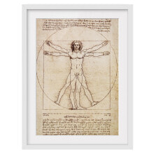 Bild Da Vinci II