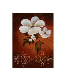 Trademark Global pablo Esteban White Flower Shadows 2 Canvas Art - 36.5