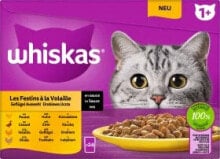 Nassfutter Katze Geflügel Auswahl in Sauce, Adult 1+ Multipack (24x85 g), 2,04 kg