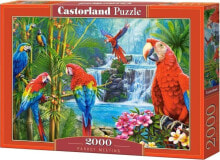 Castorland Puzzle 1500 element?w Statek i pla?a Pierwsza noc Nowa Ziemia