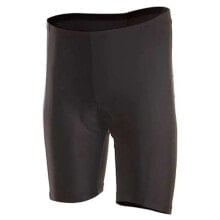 BIORACER Promo Shorts