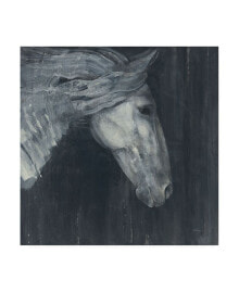 Trademark Global albena Hristova Midnight Horse Canvas Art - 36.5