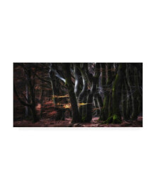 Trademark Global saskia Dingemans Mystical Speulderforest Canvas Art - 20