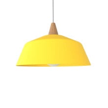 Pendant lights