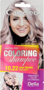 Tinting and camouflage products for hair