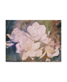 Trademark Global sharon Chandler Blush Gardenia Beauty I Canvas Art - 19.5