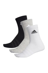 Women's Socks