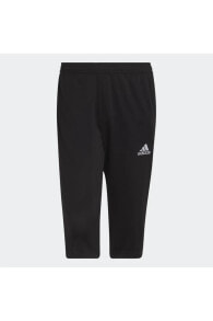 Men's Sweatpants