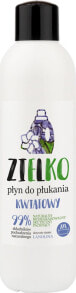  Zielko