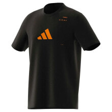 Men's sports T-shirts and T-shirts