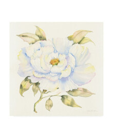 Trademark Global kathleen Parr Mckenna Peony in White Canvas Art - 20