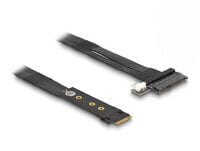 Delock M.2 Key M zu U.2 SFF-8639 NVMe Adapter mit 20cm Kabel - Adapter - Digital/Display/Video