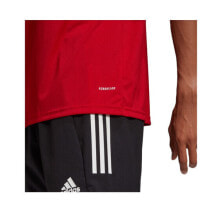 Men's Sports Shorts