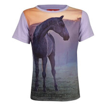 Купить мужские спортивные футболки и майки REDHORSE: REDHORSE Horsy 590720 short sleeve T-shirt