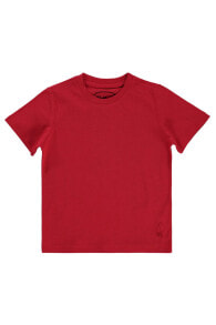 Children's T-shirts and T-shirts for boys