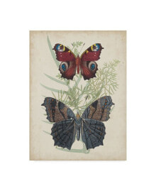 Trademark Global vision Studio Butterflies and Ferns III Canvas Art - 20