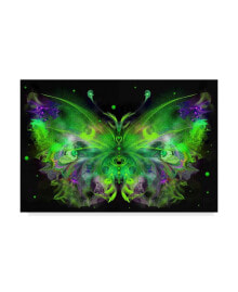 Trademark Global rUNA 'Butterfly 5' Canvas Art - 19
