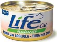 Wet Cat Food