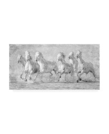 Trademark Global pH Burchett Water Horses V Canvas Art - 36.5