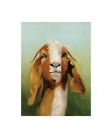 Trademark Global julia Purinton Got Your Goat Canvas Art - 19.5