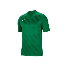 Мужские спортивные футболки Мужская футболка спортивная зеленая с логотипом Nike Challenge III