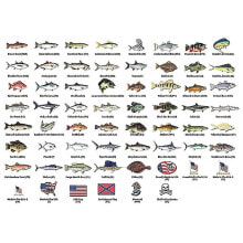 Various fishing accessories