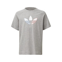 Мужские спортивные футболки aDIDAS ORIGINALS Adicolor Short Sleeve T-Shirt
