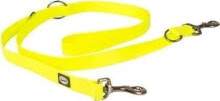 Dog Leashes