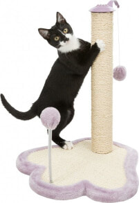 Scratching posts for cats