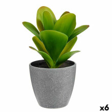 Decorative Plant Plastic (6 Units) (11 x 20 x 11 cm)