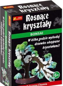 Купить развивающие и обучающие игрушки Ранок: Ranok Bonsai